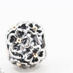 Retired Two Tone Charm